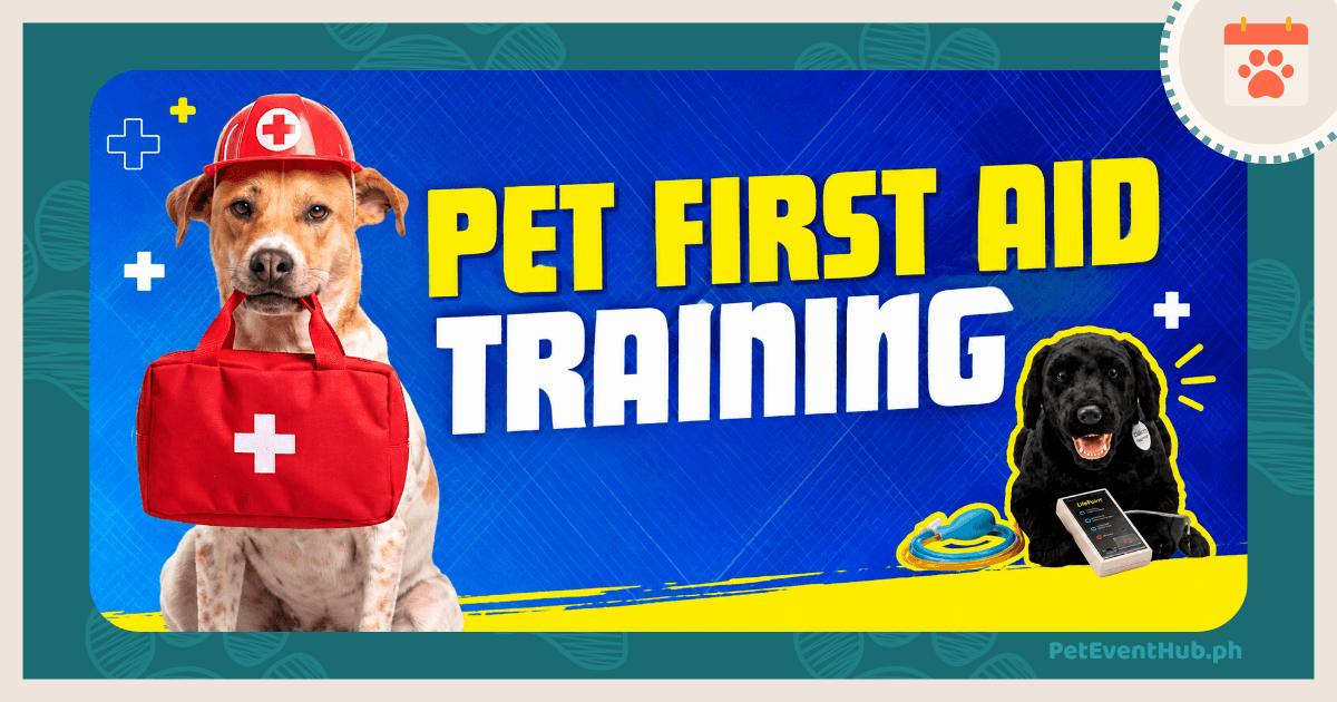 Pet First Aid Training posting