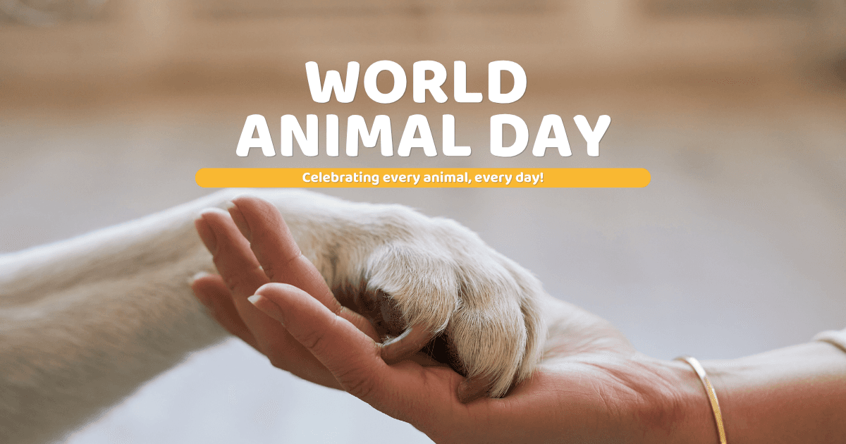 world animal day banner concept